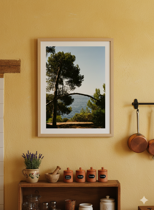 Affiche Arbre - Presqu'île de Giens