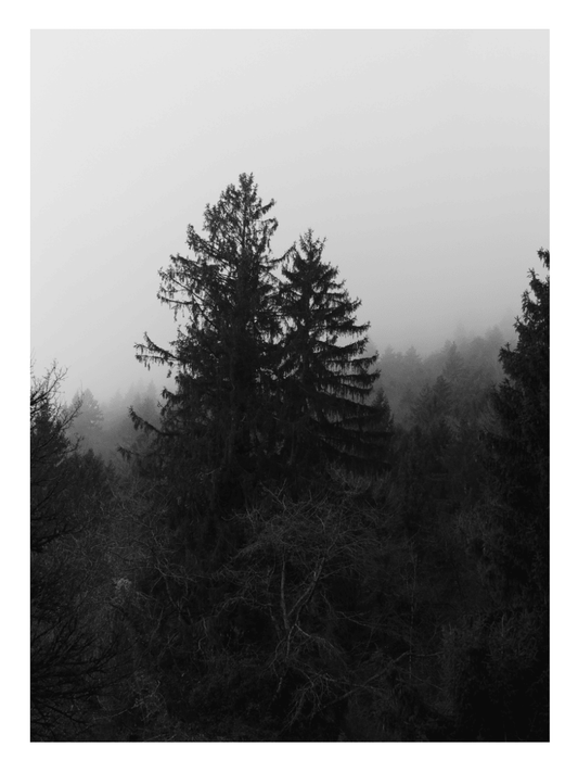 Affiche Menthon-saint-Bernard - Le Mont Barret