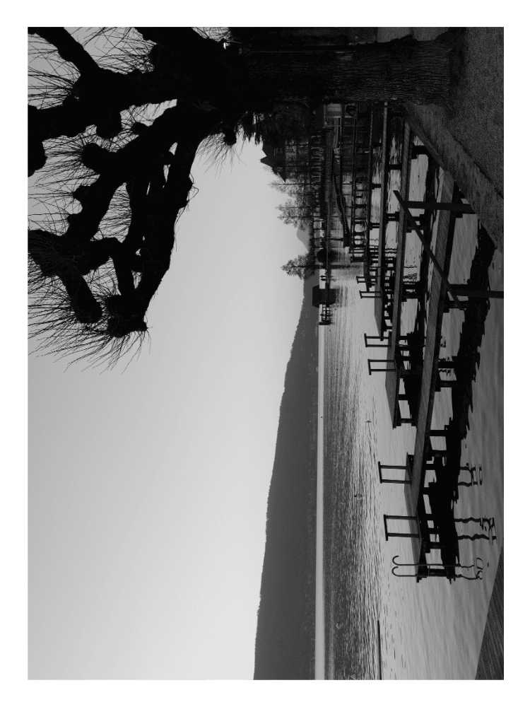 Affiche - Bords du Lac d'Annecy