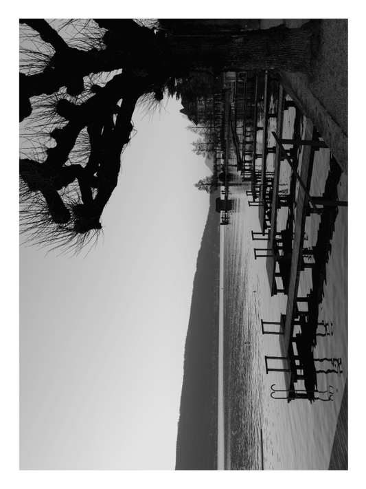 Affiche - Bords du Lac d'Annecy