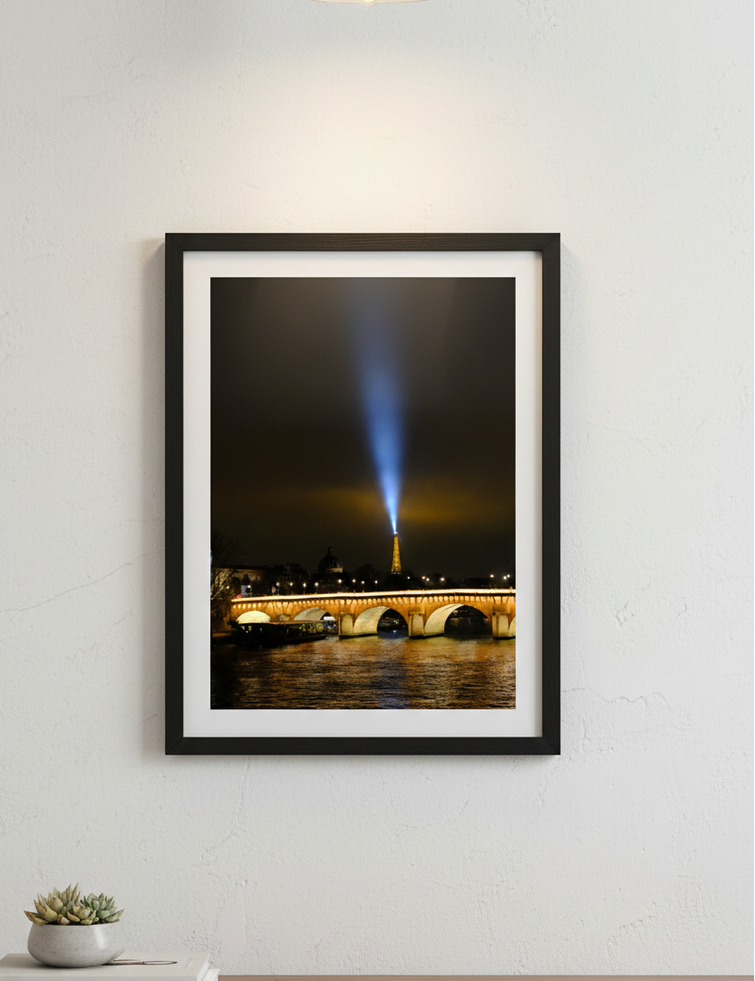 Affiche Pont Neuf