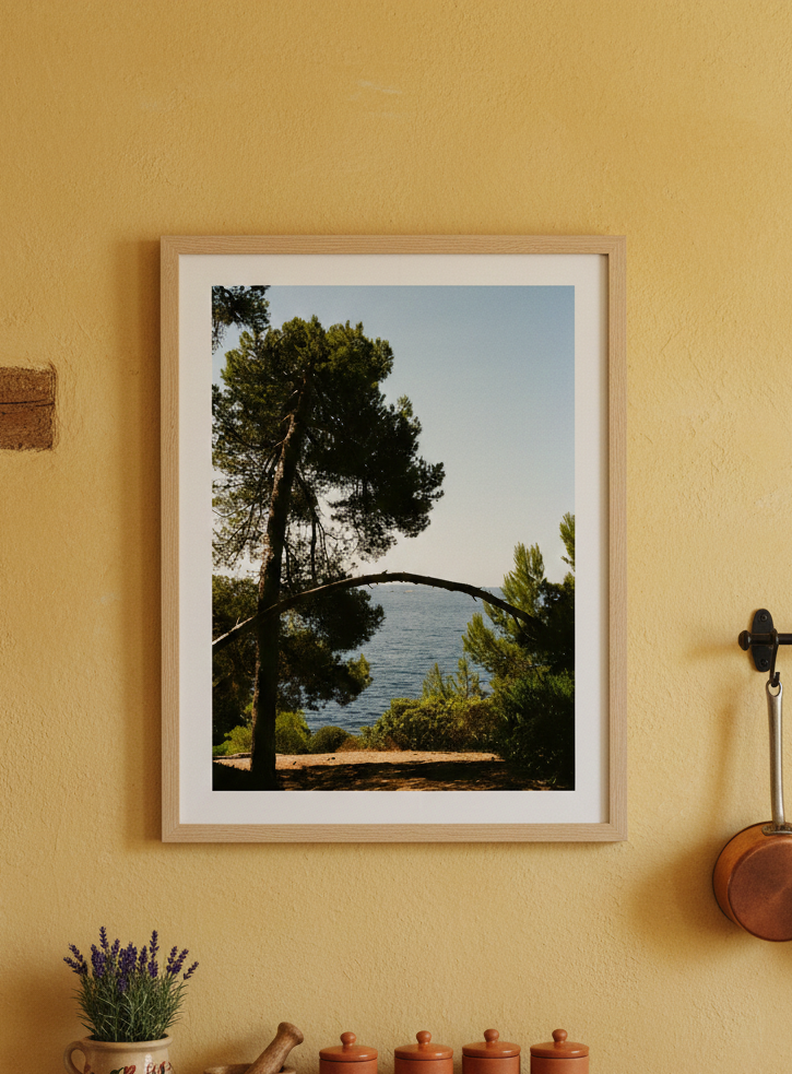 Affiche Presqu'île de Giens